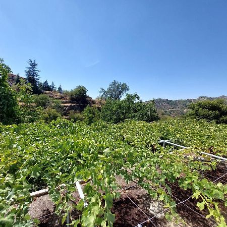 Agros Green Valley Suites Лимасол Экстерьер фото