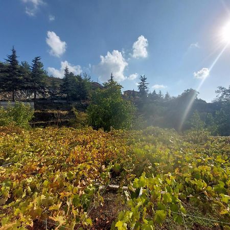 Agros Green Valley Suites Лимасол Экстерьер фото