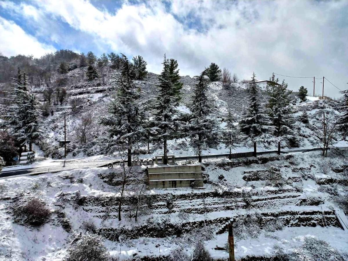 Agros Green Valley Suites Лимасол Экстерьер фото