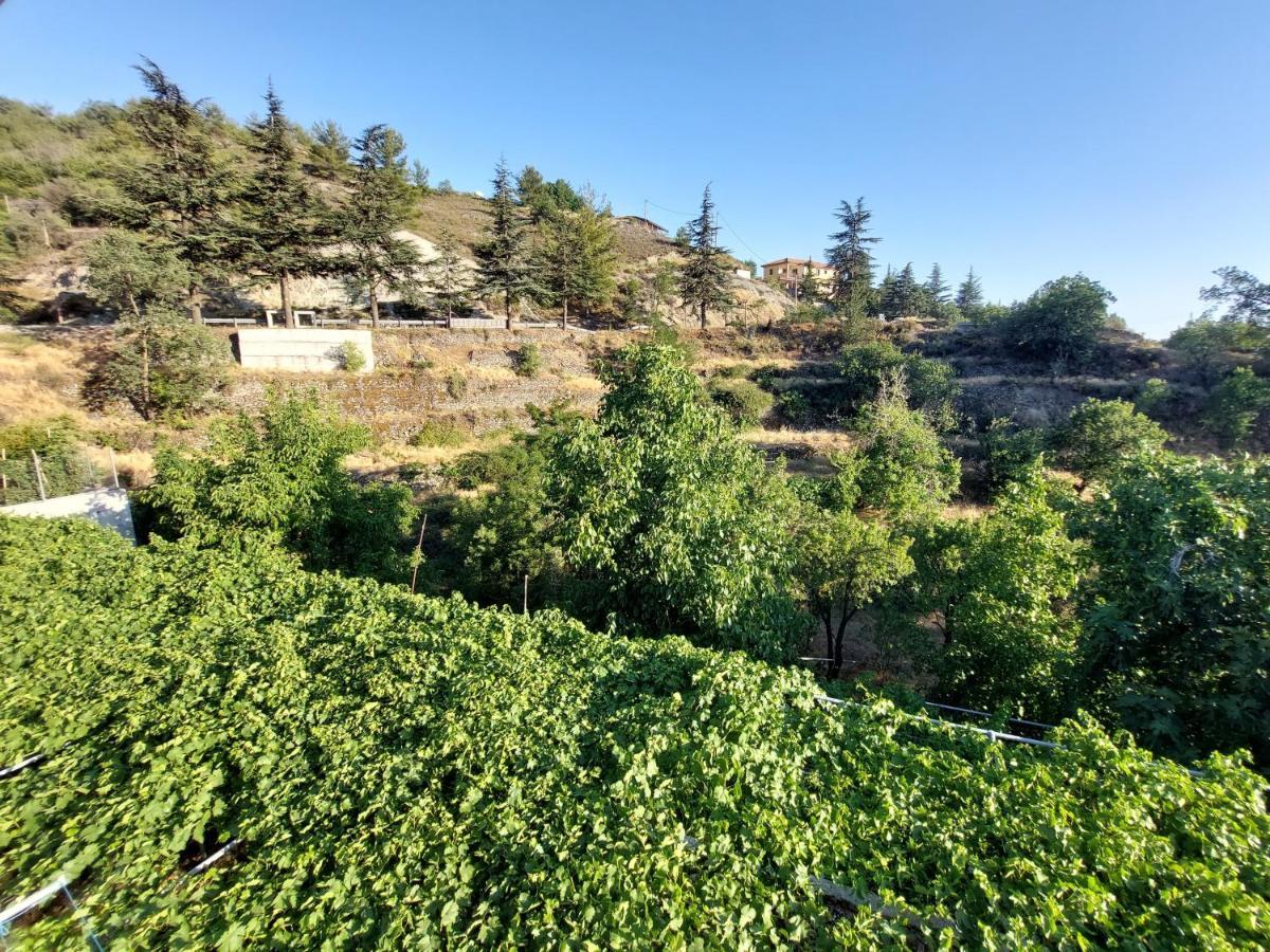 Agros Green Valley Suites Лимасол Экстерьер фото