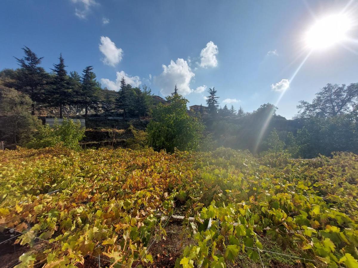 Agros Green Valley Suites Лимасол Экстерьер фото